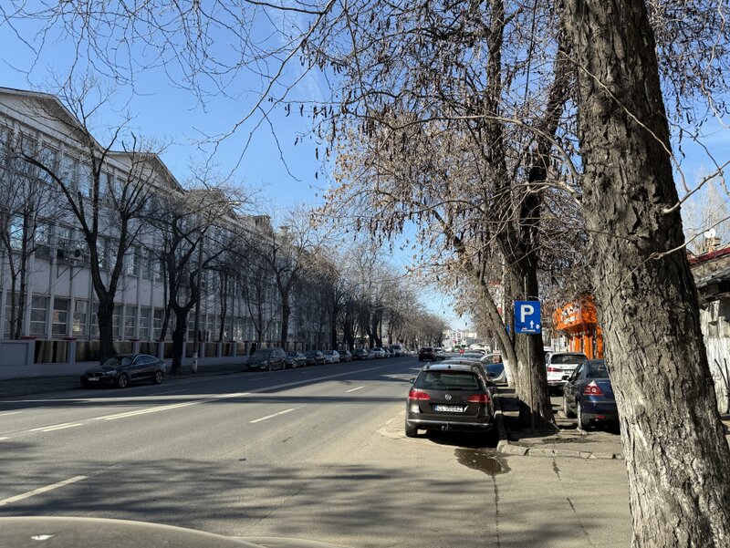Viilor, proprietate stradala, ideala pentru afaceri sau rezidential